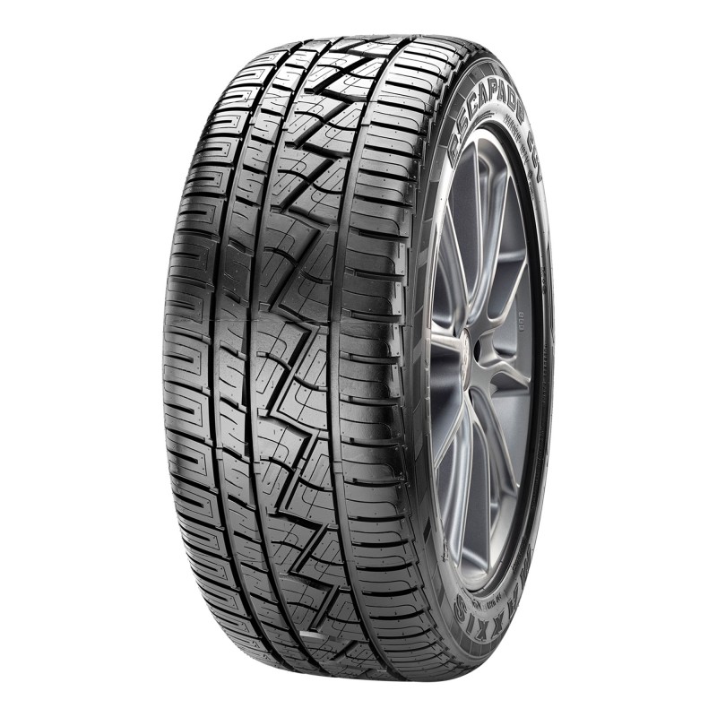 Зимние шины MAXXIS1